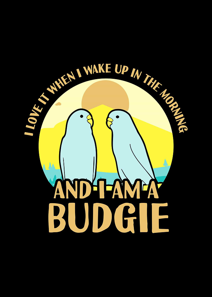 Budgie Budgeriga