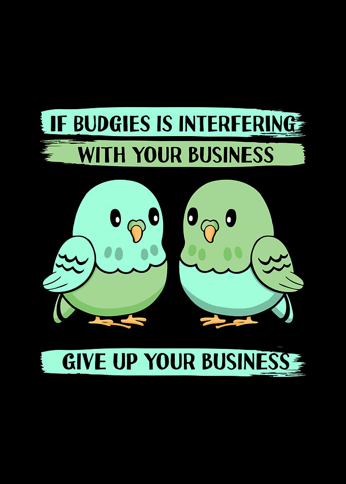 Budgie Budgeriga