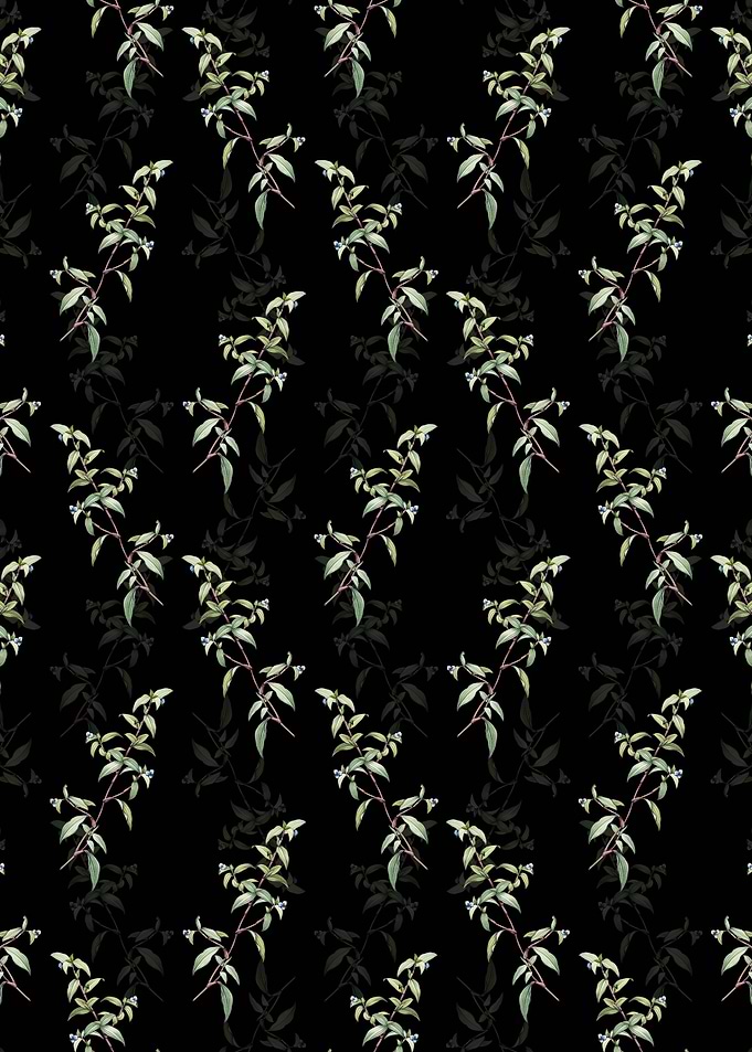 Birdbill Dayflower Pattern