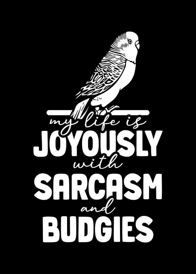 Budgie Budgeriga