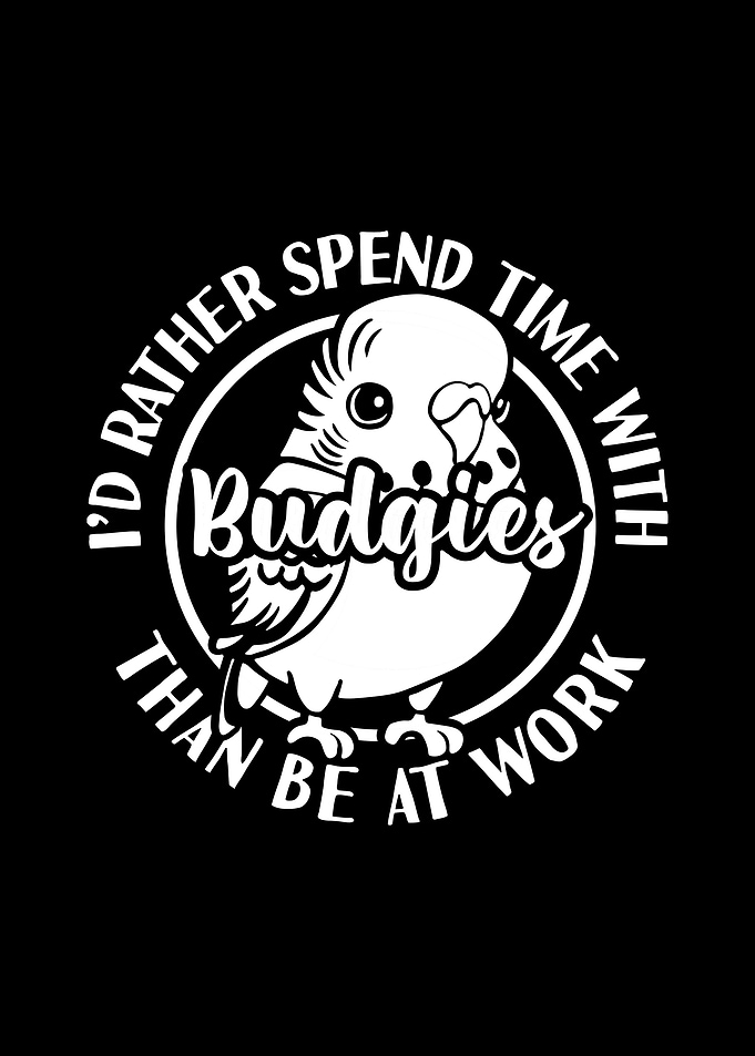 Budgie Budgeriga