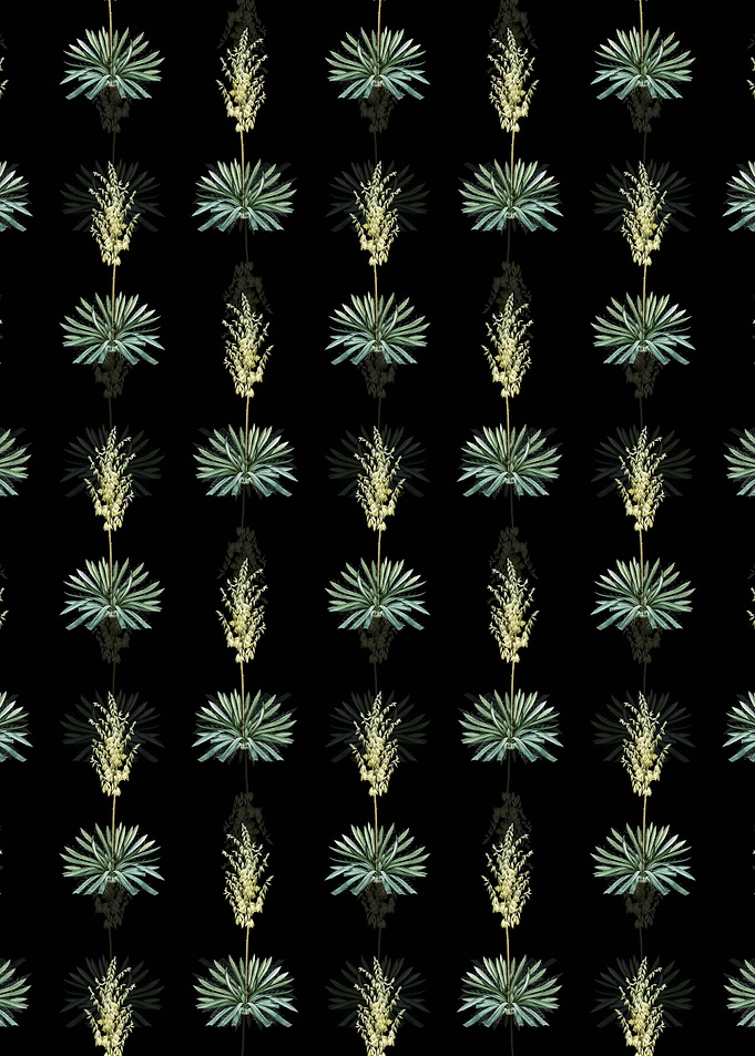 Black Adams Needle Pattern