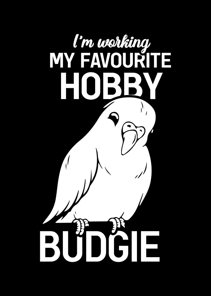 Budgie Budgeriga