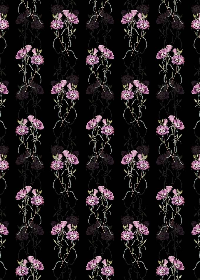 Evening Primrose Pattern