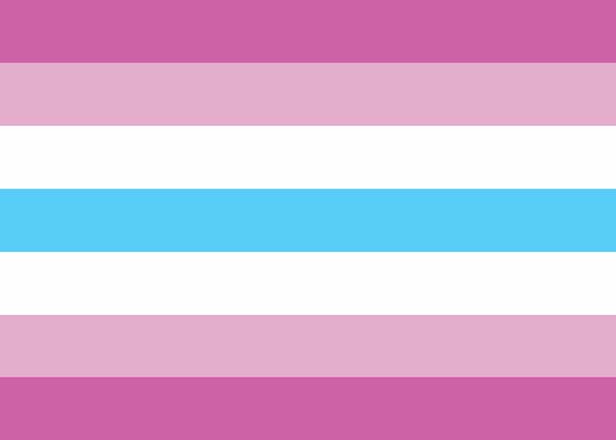 Femboy Flag Cute