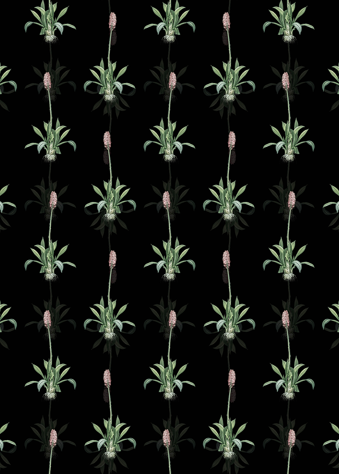 Floral Swamp Pink Pattern