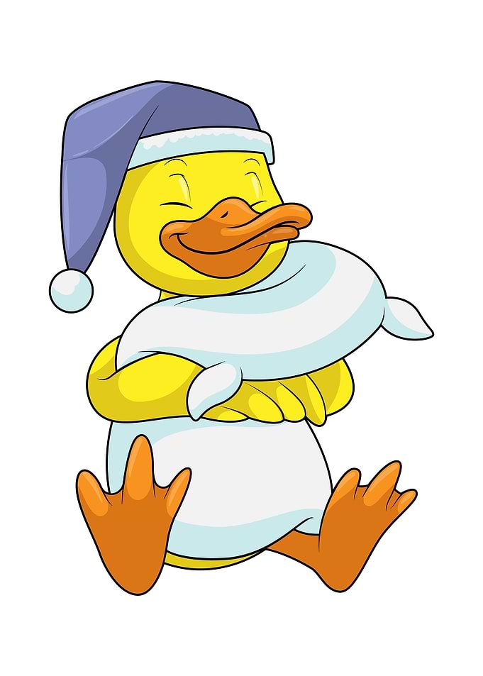 Duck Sleeping Nightcap