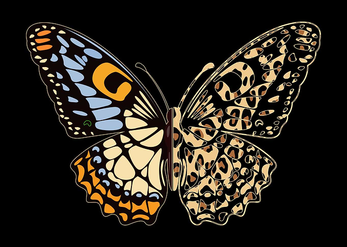 Butterfly Abstract