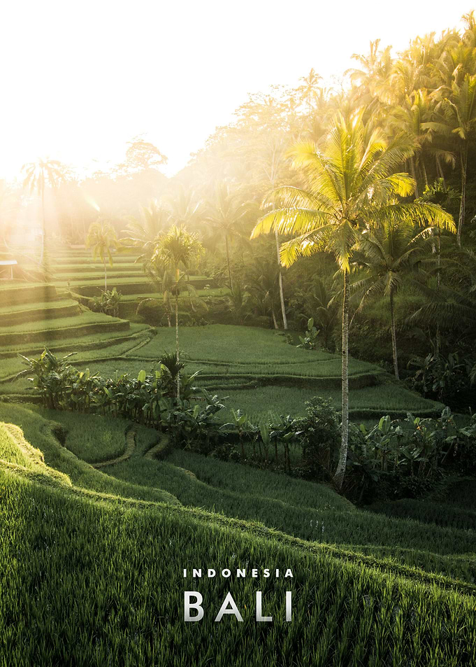 Travel to Bali