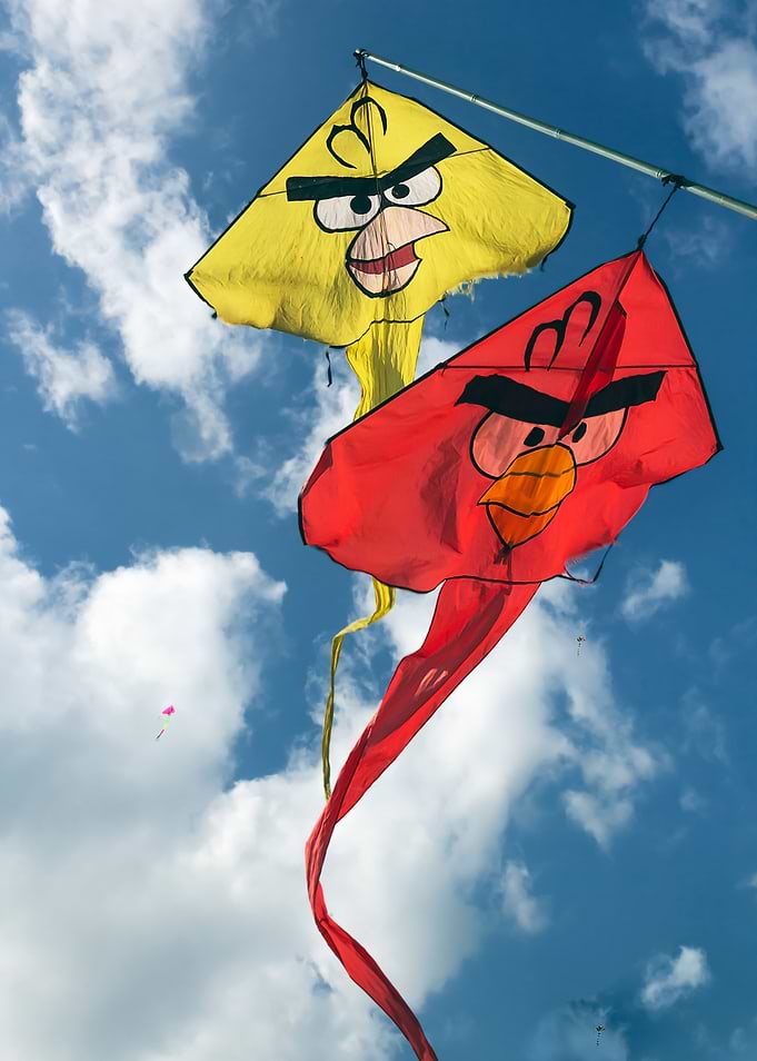 Kite