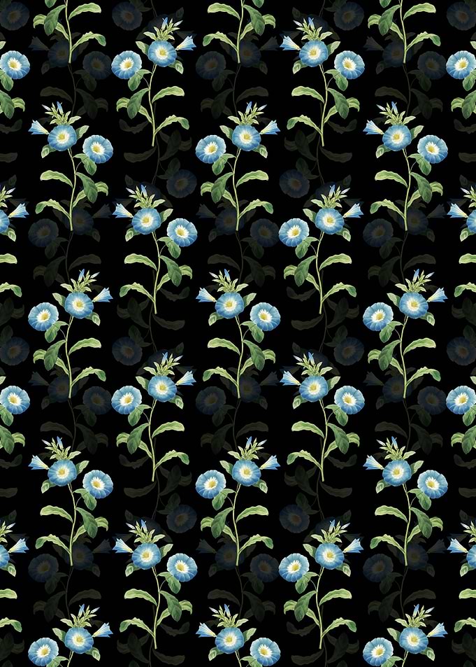 Field Bindweed Pattern