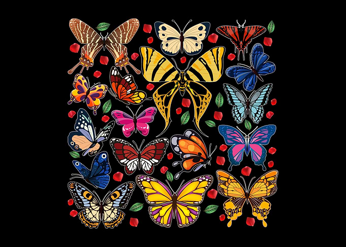 Butterflies Biology