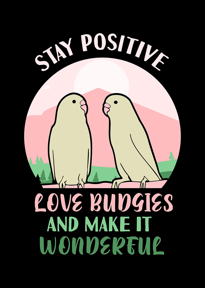 Budgie Budgeriga