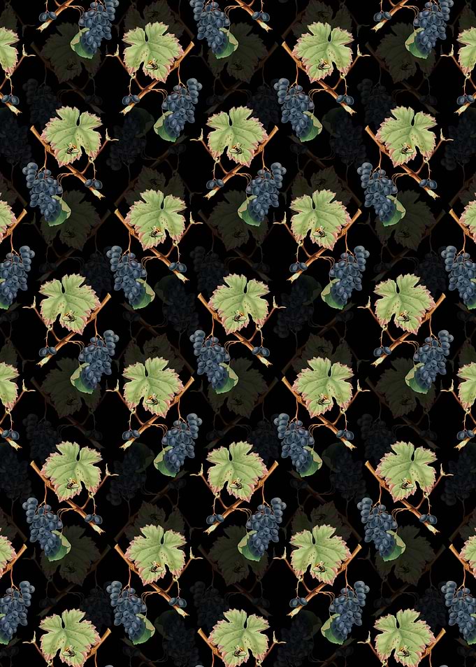 Barbera Grape Pattern
