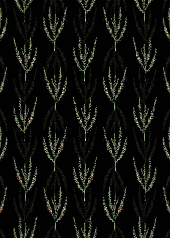 Tortoise Berry Pattern