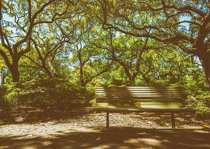Pulaski Square Bench
