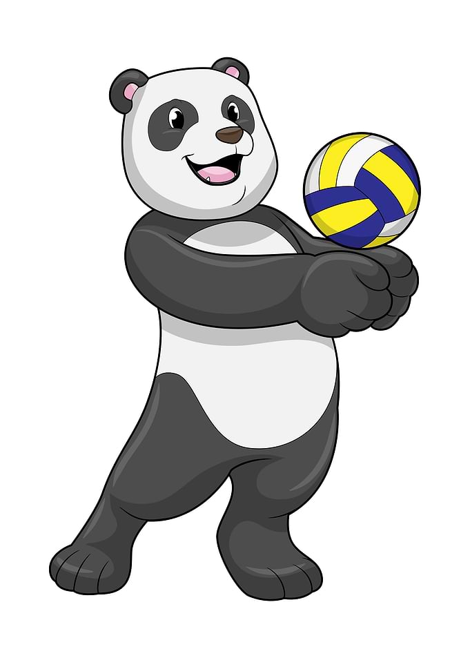Panda Volleyball Sports