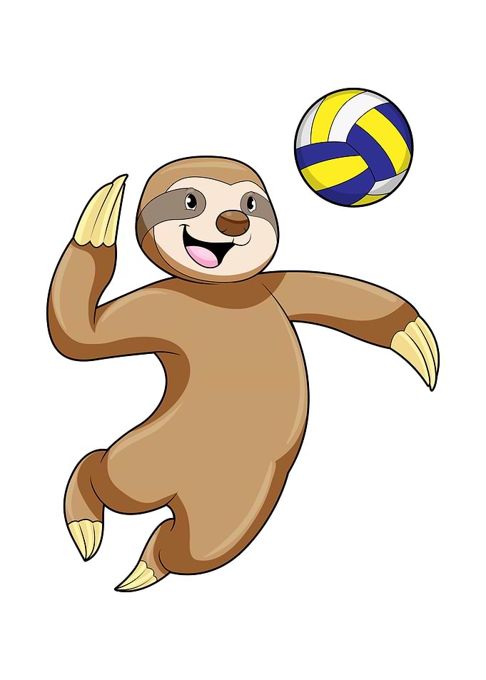 Sloth Volleyball Sports