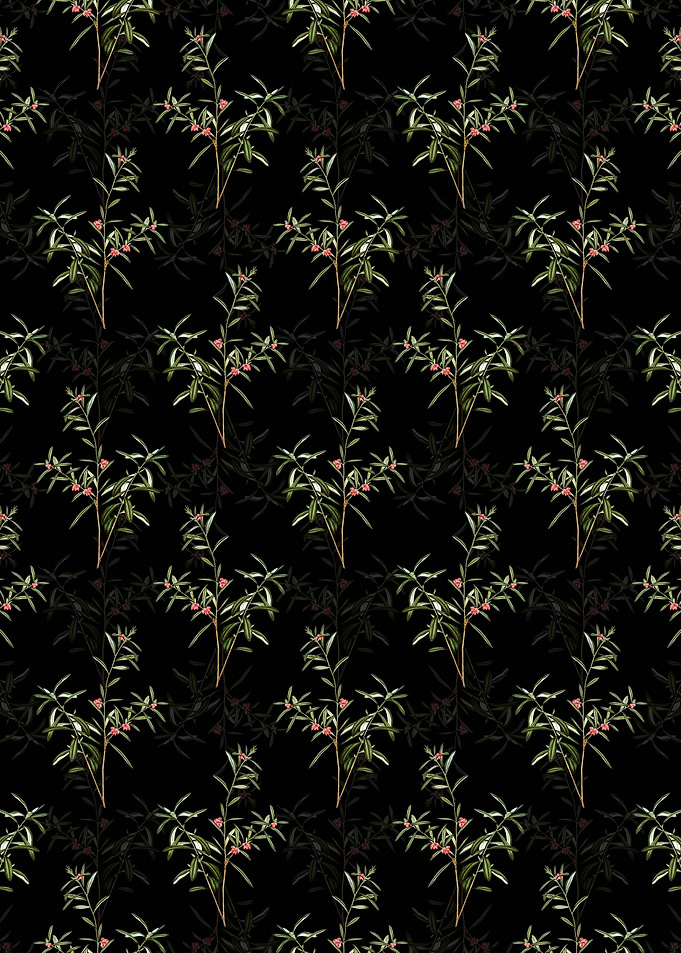 Bog Rosemary Bush Pattern