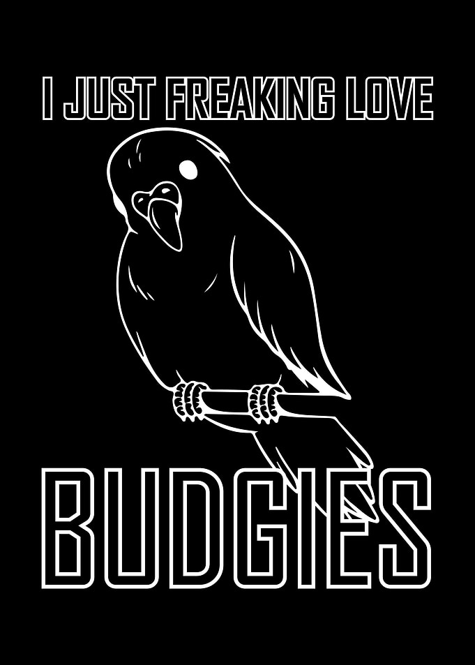 Budgie Budgeriga