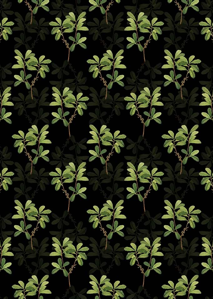 Northern Bayberry Pattern