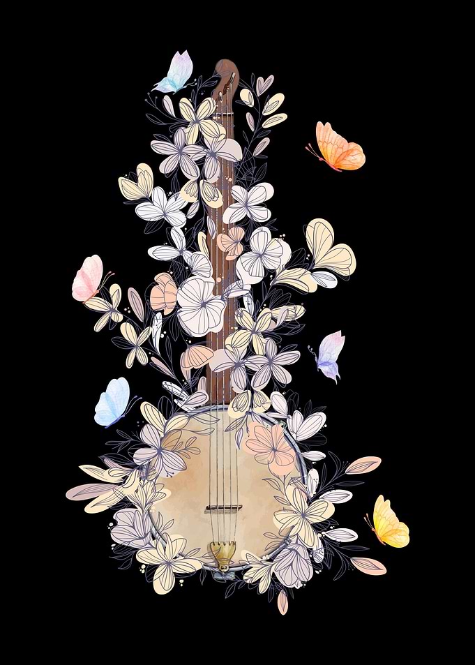 Banjo Bluegrass Butterfly