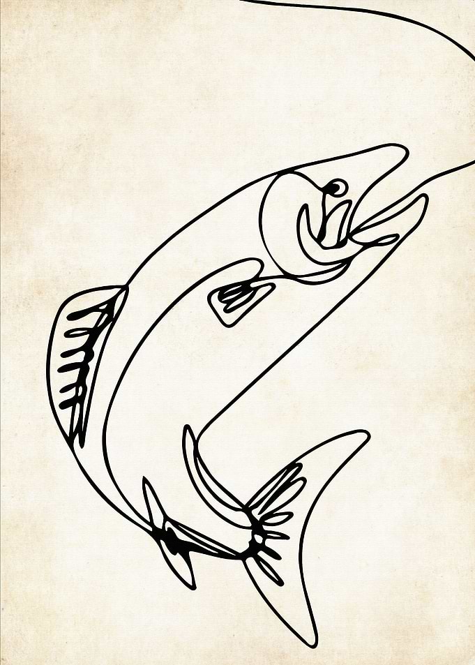 Fisherman