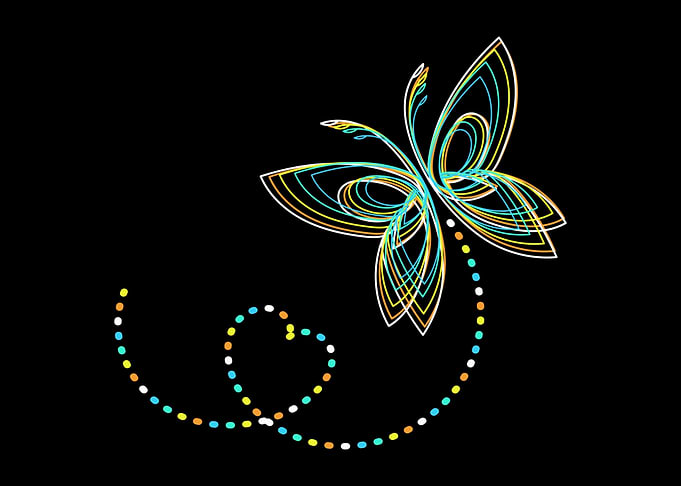 Butterfly Colorful Biology