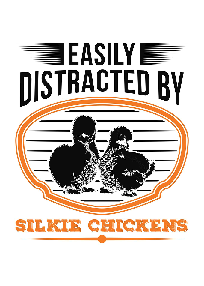 Silkie Chicken