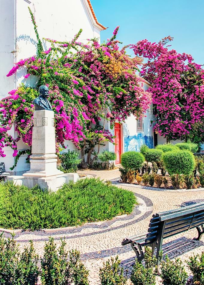 Bougainvillea in Lisbon