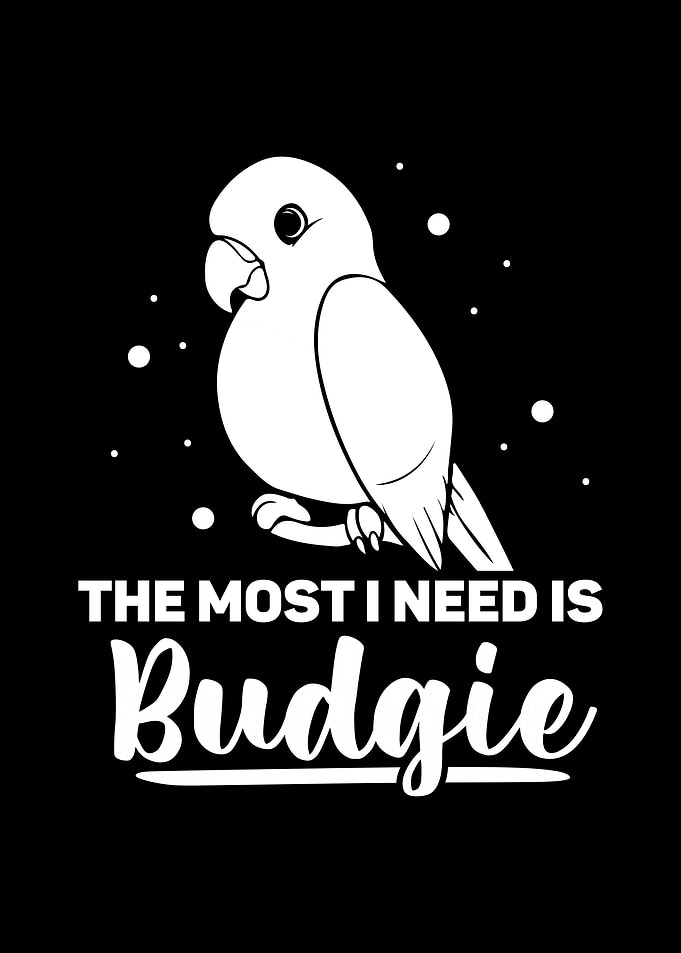 Budgie Budgeriga