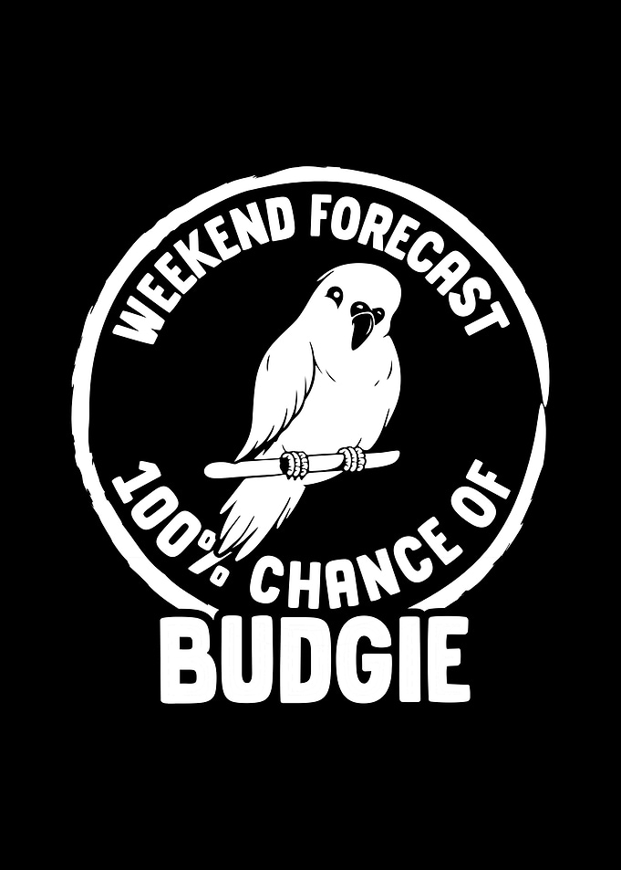 Budgie Budgeriga