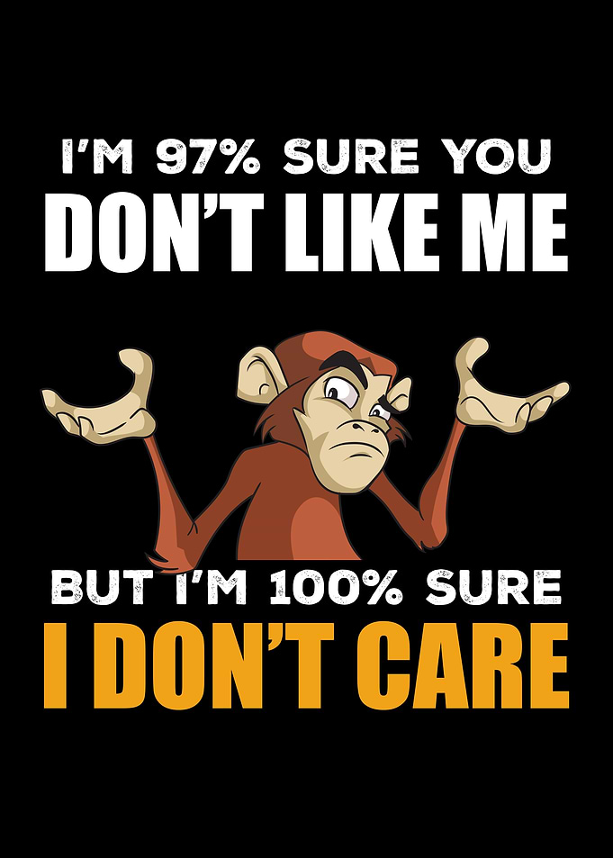 Funny Monkey Gift