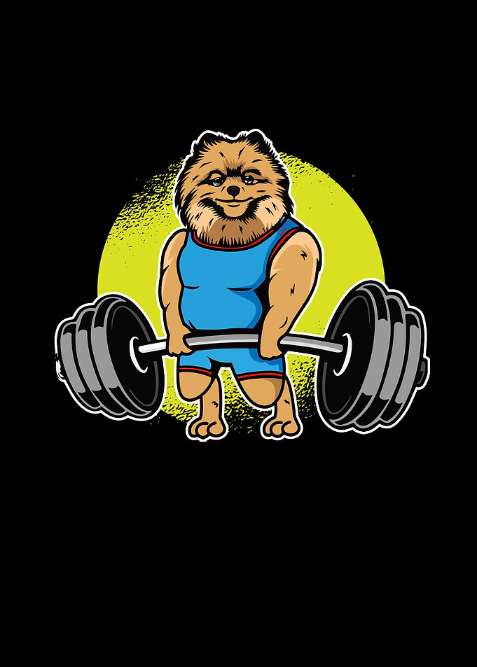 Pomeranian Weightlifting I