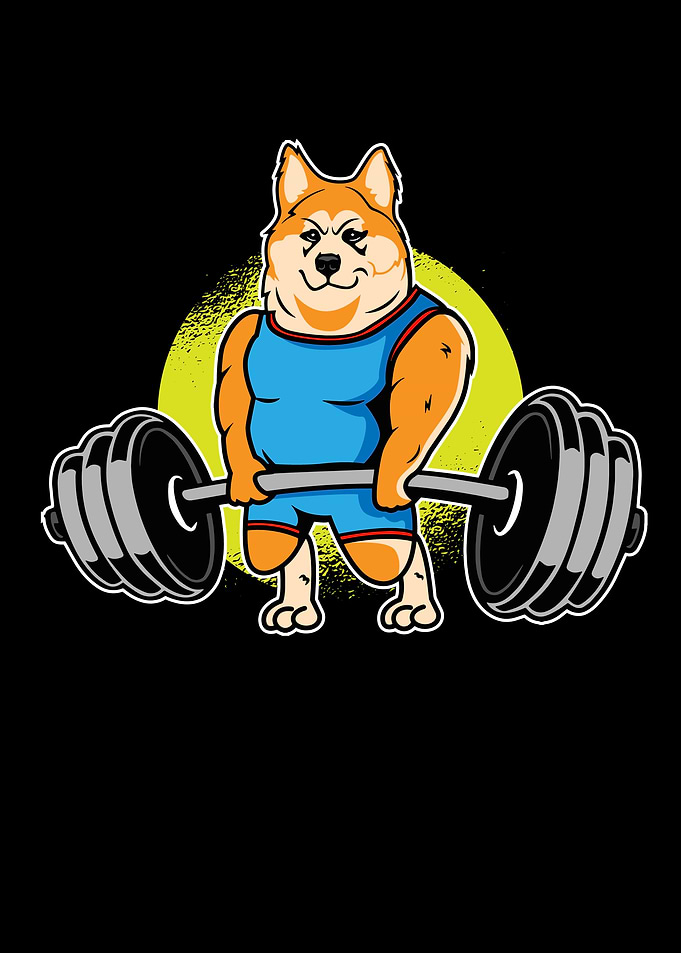 Akita Weightlifting I