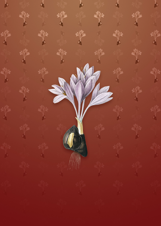 Vintage Autumn Crocus