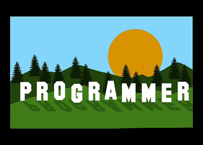 Programmer Software