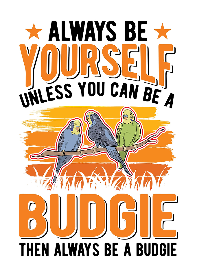 Budgie Gift Parakeet