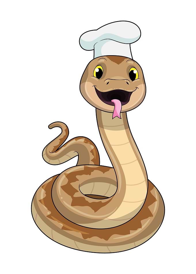 Snake Cook Chef hat