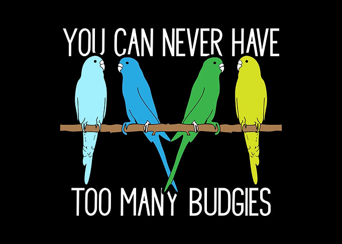 Budgie Budgeriga