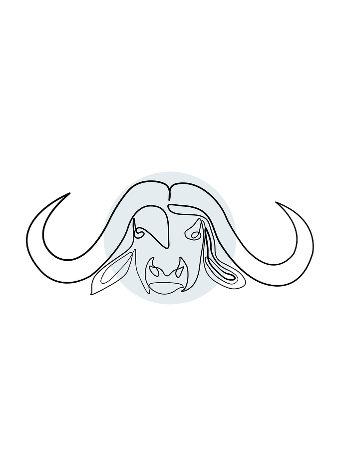 Bufalo One Line Drawing