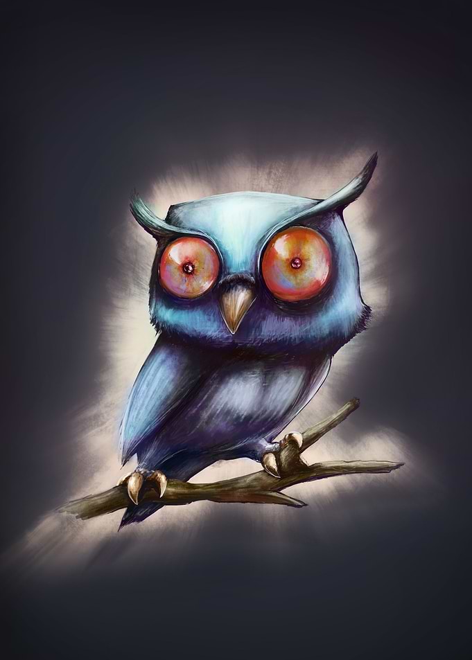 The Owl Stare