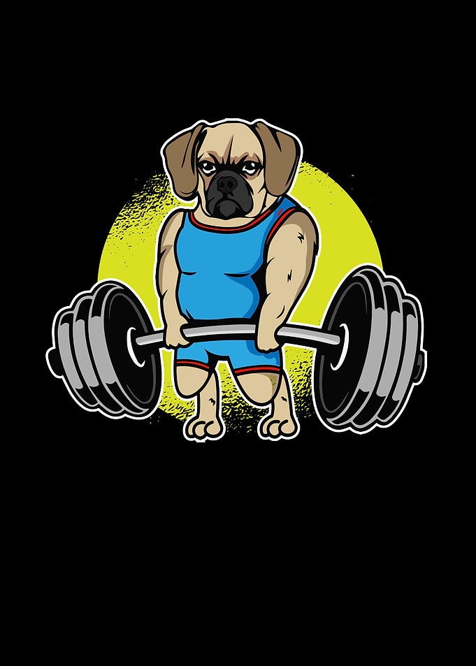 Puggle Weightlifting I