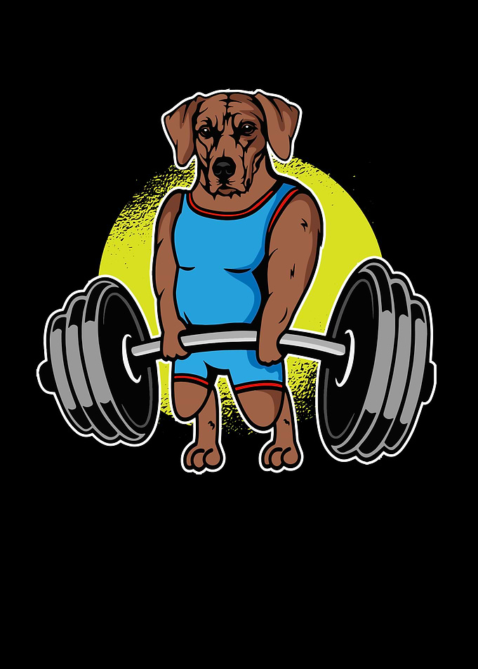 Rhodesian Ridgeback