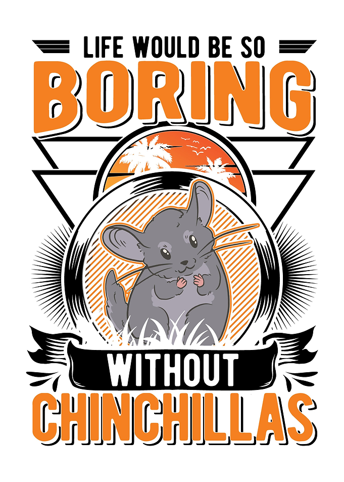 Chinchilla Lover