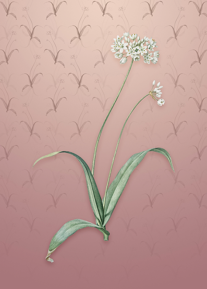 Vintage Spring Garlic