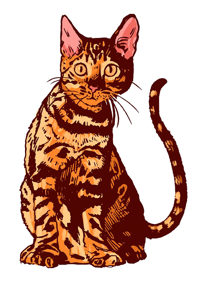 Cute red Cat Animal