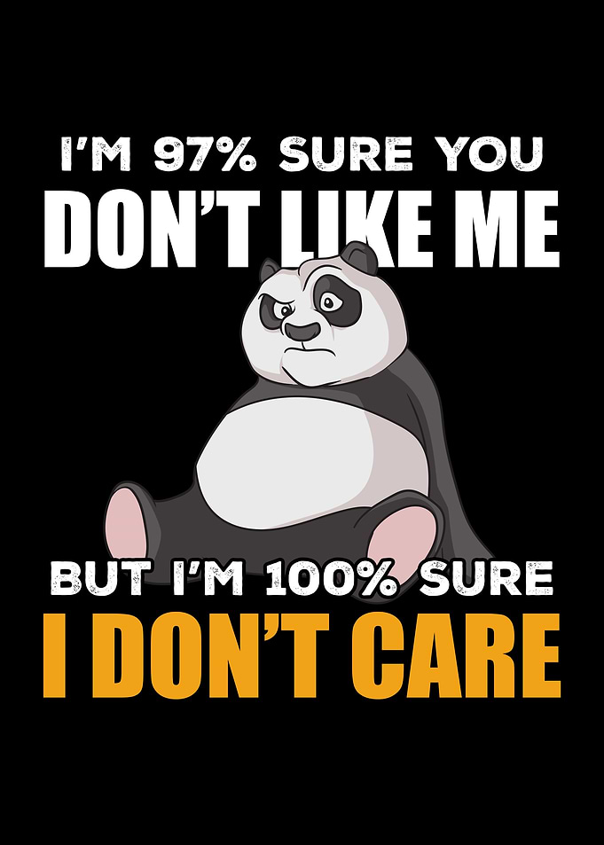 Funny Panda Gift Idea