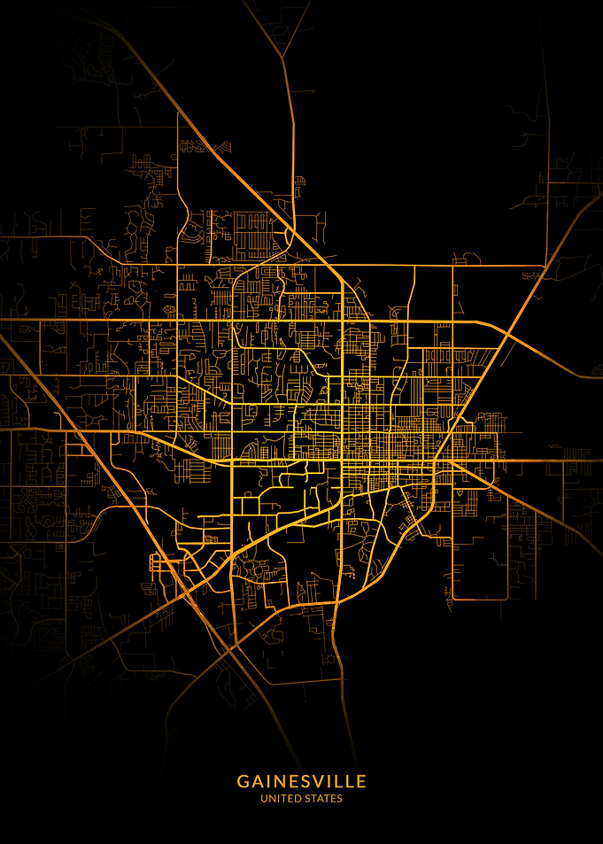 Gainesville City Map Gold