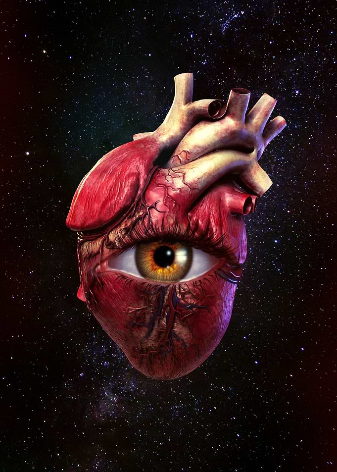 The Heart That Sees